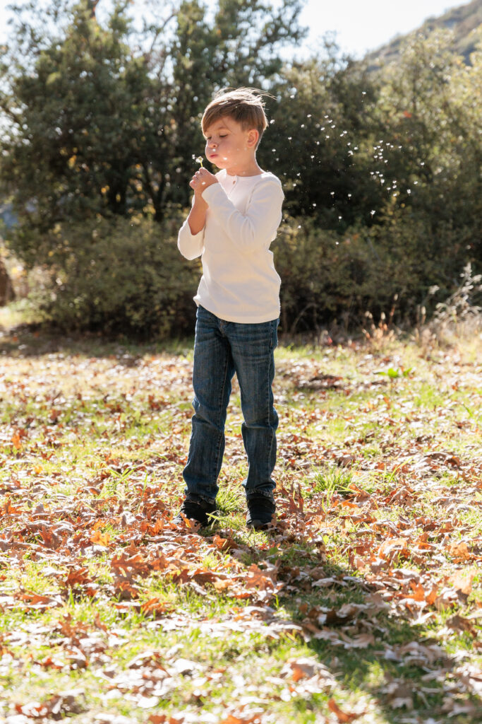 Boy blowing dandelion in Oak Glen, CA for photoshoot. 