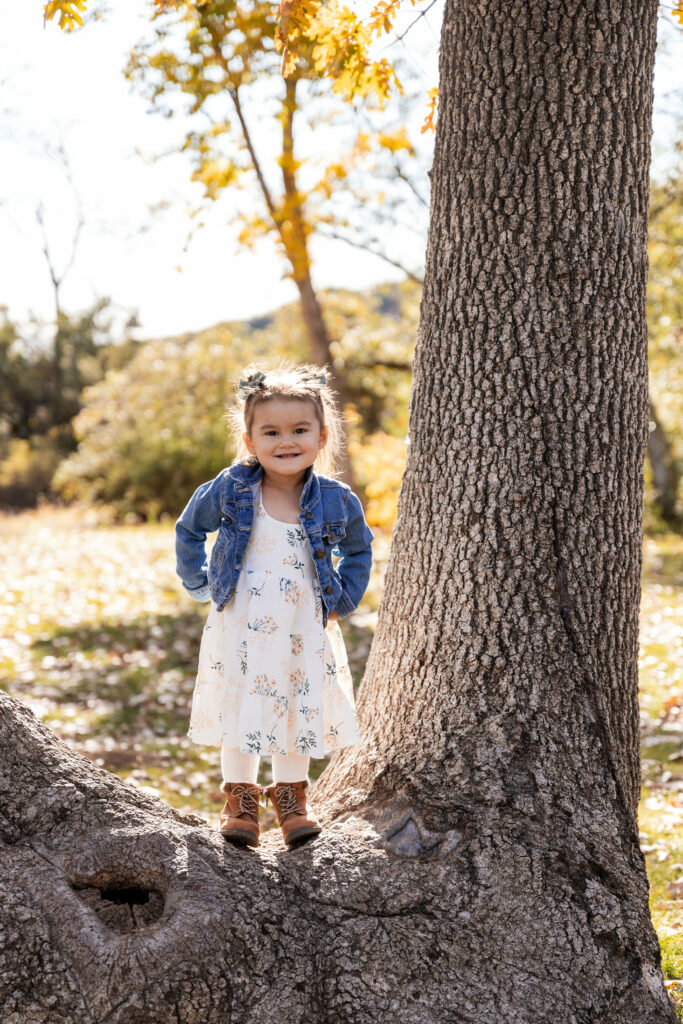 Kid playing in large tree in oak glen california